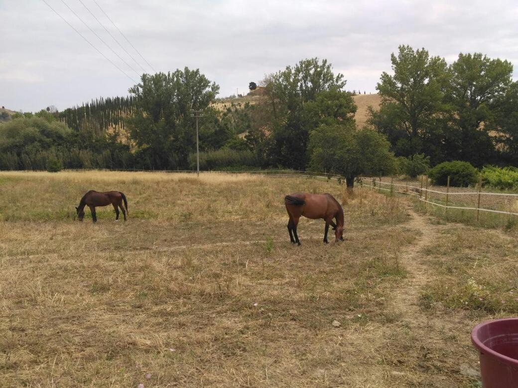 Casa Vacanze Santa Maria Certaldo Kültér fotó
